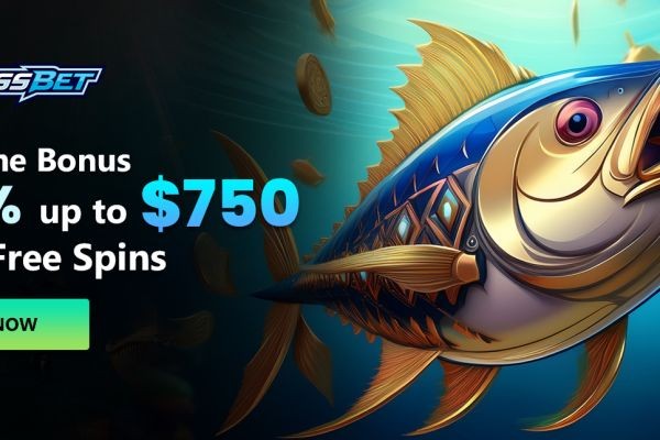 Explore Bassbet Live Casino Canada Guide Today