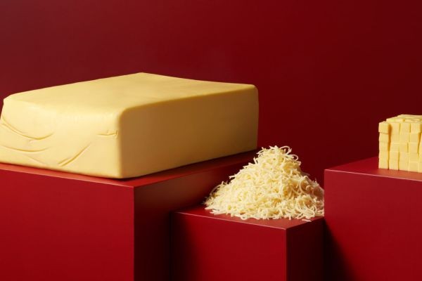 Plant Based Cheese Market Challenges Affecting Growth, Innovation, and Competitive Industry Development Worldwide