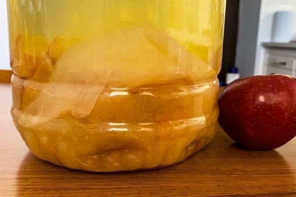 Apple Cider Vinegar Market Outlook: Growth Prospects, Trends, and Future Opportunities
