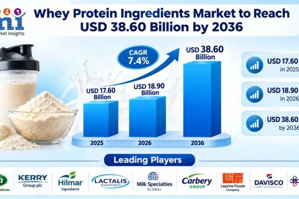 Whey Protein Ingredients Market to Reach USD 38.60 Billion by 2036