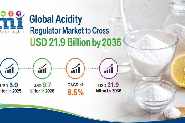 Global Acidity Regulator Market to Cross USD 21.9 Billion by 2036