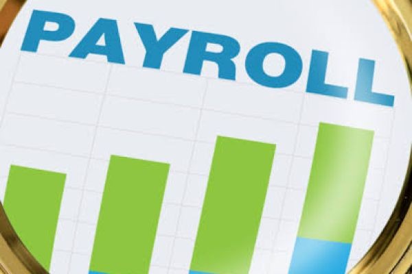 Why UK Construction Businesses Trust Professional CIS Payroll Companies