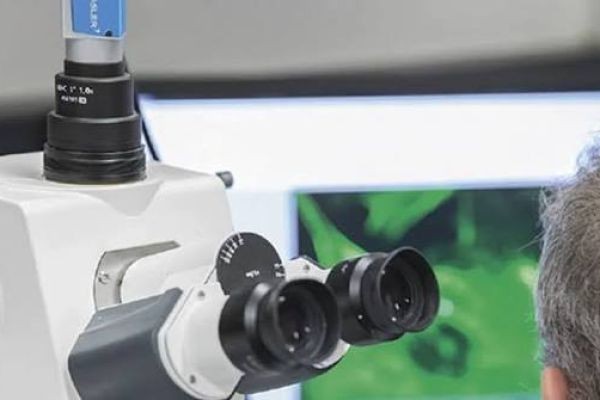 Medical Camera Market Competition Analysis Reveals Innovation Strategies Shaping Future Healthcare Imaging