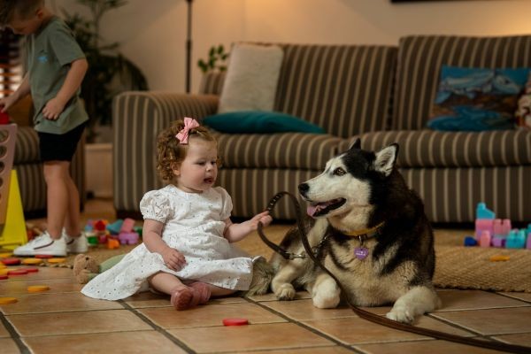 Foster Care with Purpose: Nurturing Confidence, Stability and Hope