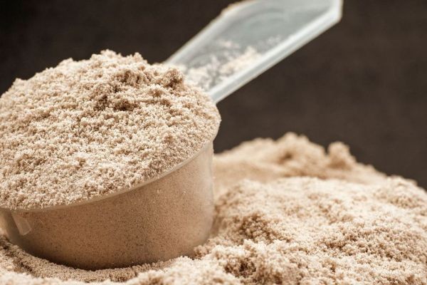 Plant-based Protein Market Outlook Reflecting the Future of Sustainable Protein Solutions