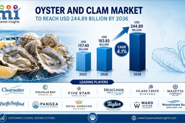 Oyster and Clam Market to Reach USD 244.89 Billion by 2036 Driven by Coastal Aquaculture Scaling, Fresh Raw-Bar Demand