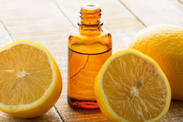 Botanical Extracts Market Future Prospects Driving Sustainable Industry Growth and Innovation.