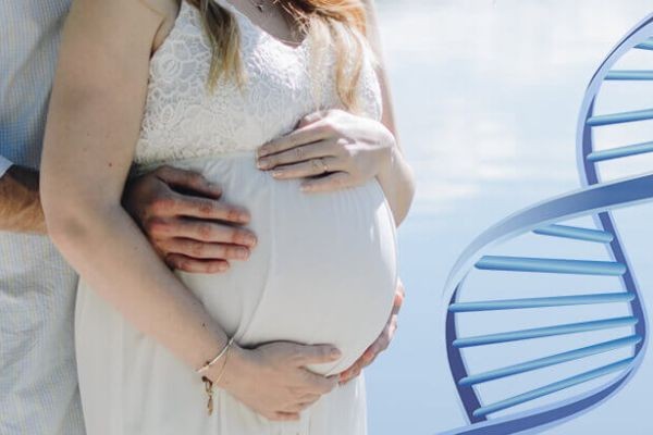 Pregnancy and Paternity: Safe Ways to Learn More Before Birth