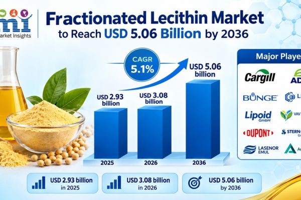 Fractionated Lecithin Market to Reach USD 5.06 Billion by 2036 Driven by Clean-Label Reformulation