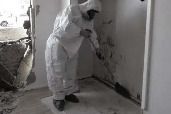 How a Biohazard Cleanup Service in Carmel IN Helps Restore Safety and Cleanliness