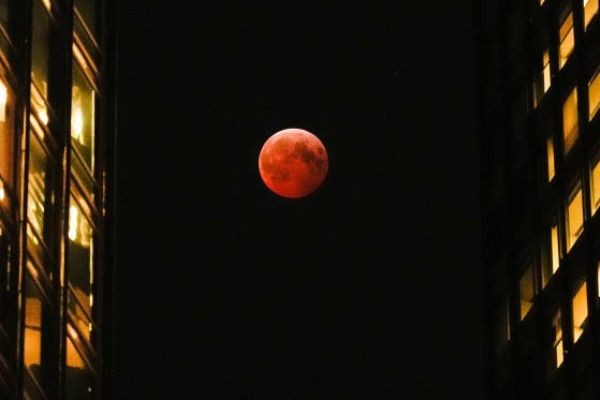 How Will the 2nd Lunar Eclipse of 2026 Affect Your Zodiac Sign?