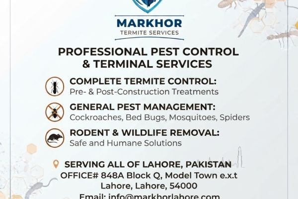 Professional Pest Control & Termite Services in Lahore Pakistan