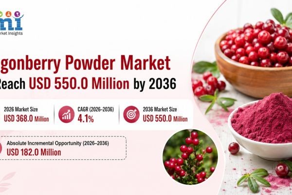Lingonberry Powder Market to Reach USD 550.0 Million by 2036