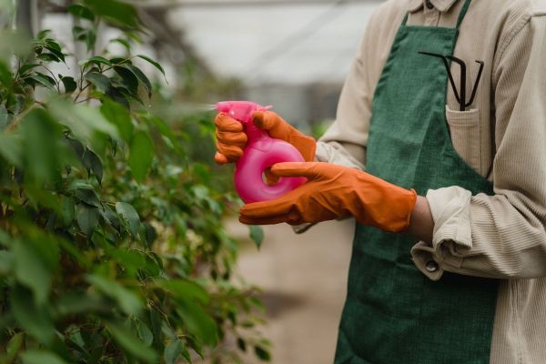 Fungicides Market Report Emerging Trends Driving Innovation and Sustainable Agricultural Growth Worldwide
