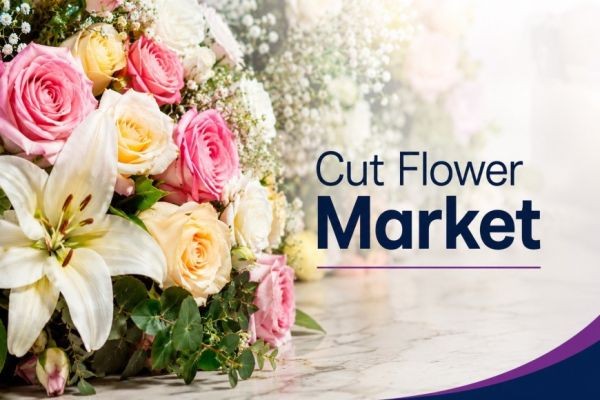 Cut Flower Market Demand, Growth Outlook and Forecast 2026-2036