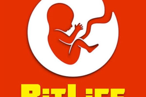 Living a Million Lives: A Guide to the Fun and Chaos of BitLife