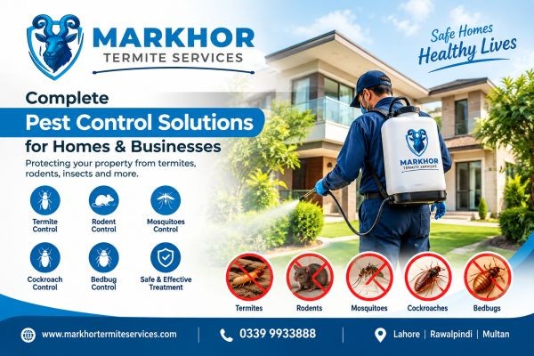 Pest Control in Lake City Lahore: Complete Termite and Pest Solutions