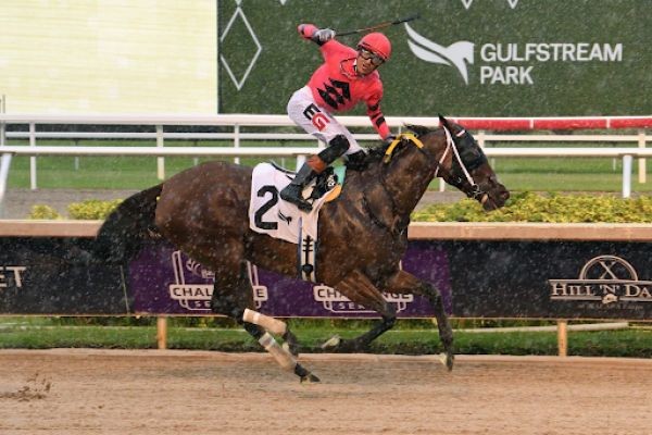 Mysore Horse Race Card Guide: How to Read Race Cards Like a Pro