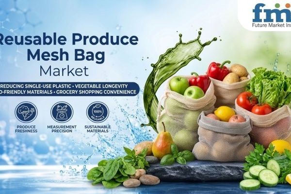 Reusable Produce Mesh Bag Market Forecast Highlights Household Adoption And Repeat Use