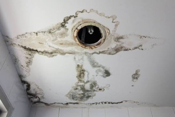 Is Mold on Ceiling Dangerous? What Florida Homeowners Should Know in 2026
