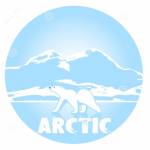 ARCTICA avatar