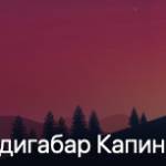 adigabarkapinsky avatar