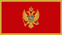 Ukrainian «contribution» to progress of Montenegrin democracy