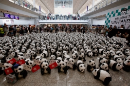 ​1600 панд в гонконгском аэропорту